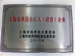 12月19号，，BBIN游戏被评为上海市科技小巨人培育企业