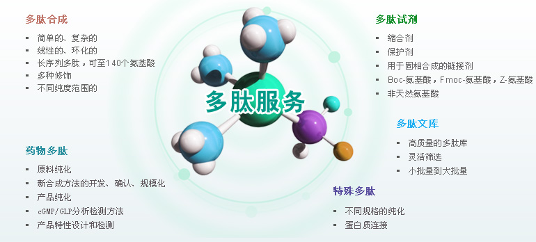 多肽合成效劳