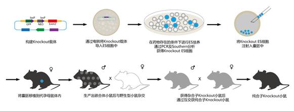 BBIN游戏(集团)有限公司官网