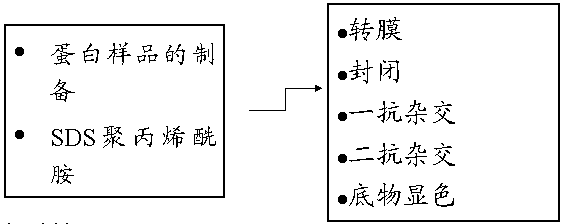 BBIN游戏(集团)有限公司官网