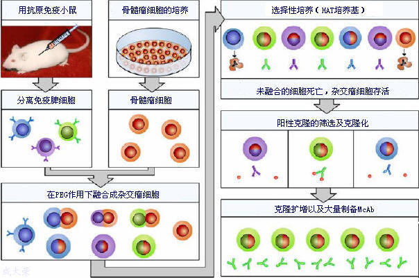 BBIN游戏(集团)有限公司官网
