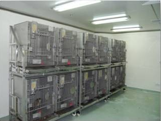 BBIN游戏猴房