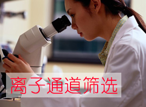 BBIN游戏离子通道筛选效劳