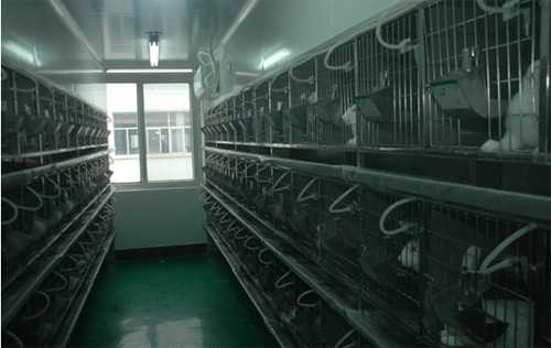 BBIN游戏实验动物房