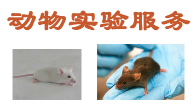 BBIN游戏动物实验外包效劳