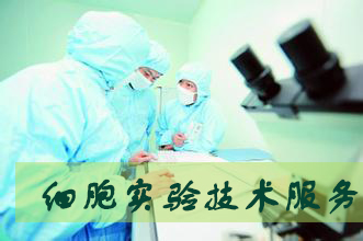 BBIN游戏细胞实验效劳外包