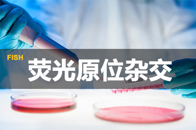 BBIN游戏荧光原位杂交手艺