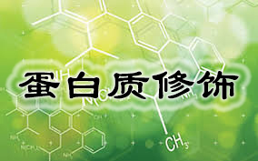 BBIN游戏(集团)有限公司官网