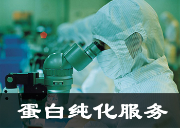 卵白纯化效劳