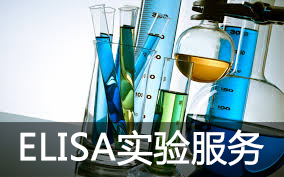 BBIN游戏(集团)有限公司官网
