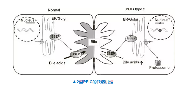 BBIN游戏(集团)有限公司官网