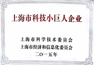BBIN游戏获“上海市科技小巨人企业”声誉称呼