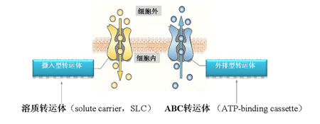 BBIN游戏(集团)有限公司官网