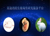 BBIN游戏的生殖毒性研究效劳平台