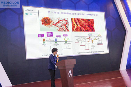 中国药科大学张娟副教授作抗肿瘤血管天生抗体JZB01研究报告