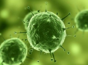 Nature：治疗实体瘤有了明确靶标，，，肿瘤干细胞确实保存