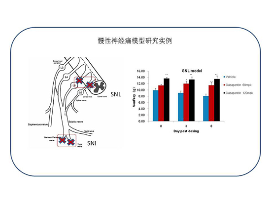 BBIN游戏(集团)有限公司官网