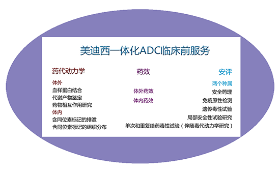 BBIN游戏一体化ADC临床前效劳