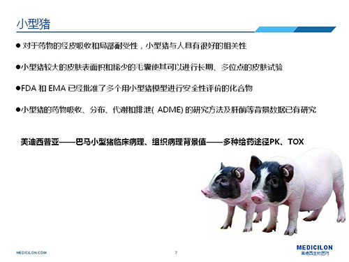 皮肤涂抹试验中，，，，受试动物选择小型猪更好