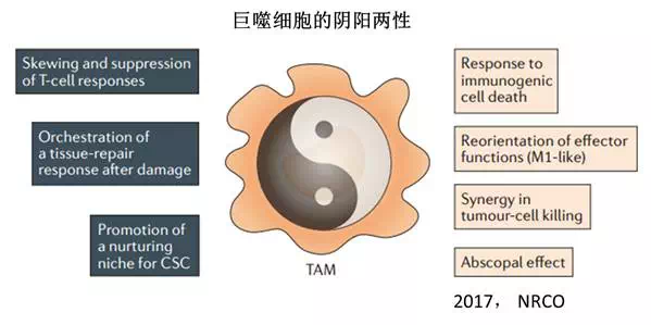 BBIN游戏(集团)有限公司官网
