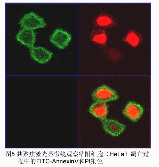 BBIN游戏(集团)有限公司官网
