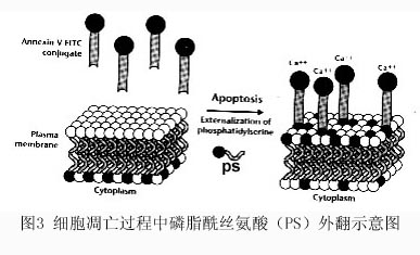 BBIN游戏(集团)有限公司官网