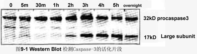 BBIN游戏(集团)有限公司官网