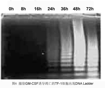 BBIN游戏(集团)有限公司官网