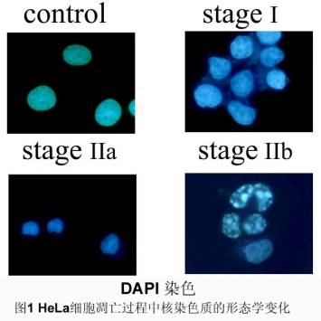 BBIN游戏(集团)有限公司官网