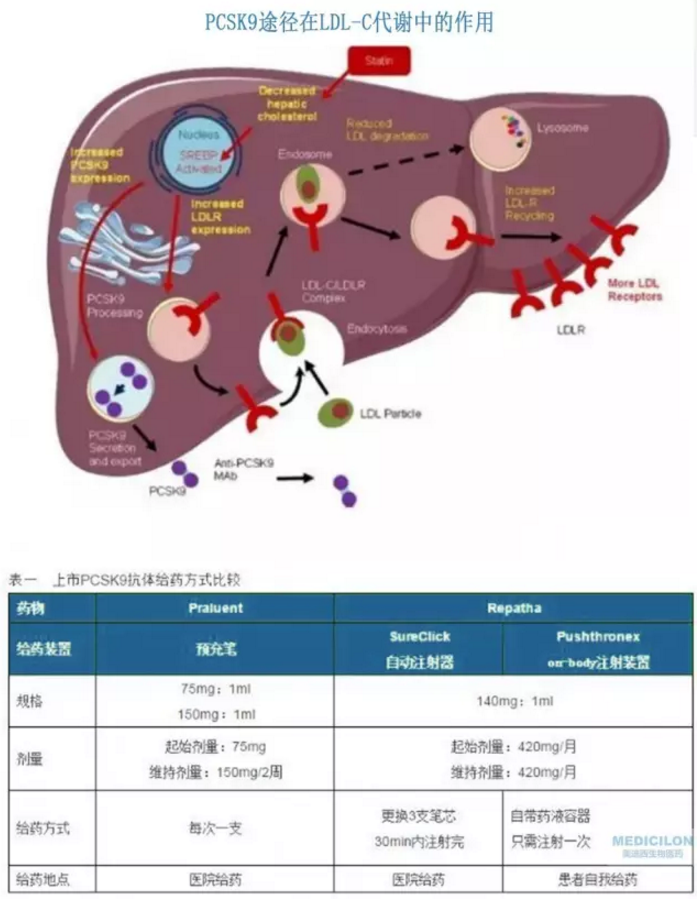 BBIN游戏(集团)有限公司官网