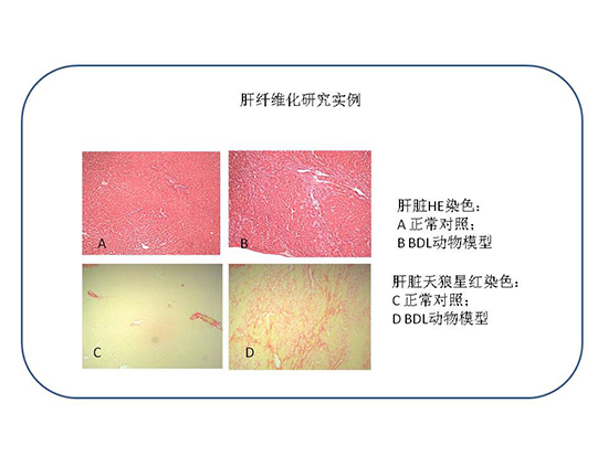 BBIN游戏(集团)有限公司官网