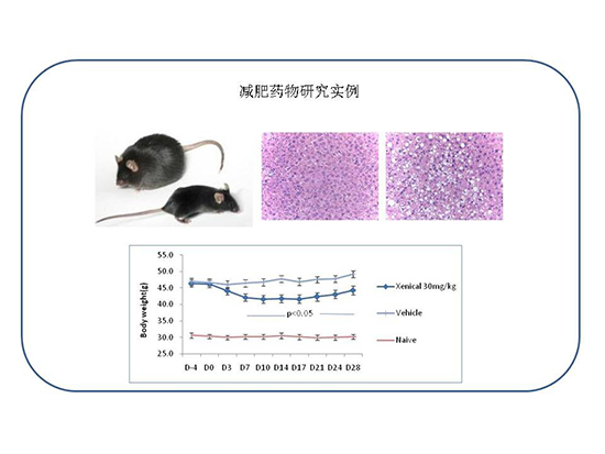 BBIN游戏(集团)有限公司官网