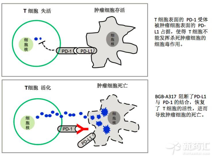 BBIN游戏(集团)有限公司官网