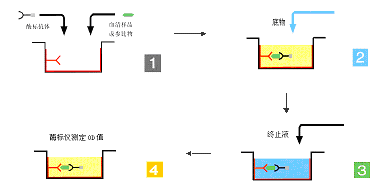 BBIN游戏(集团)有限公司官网