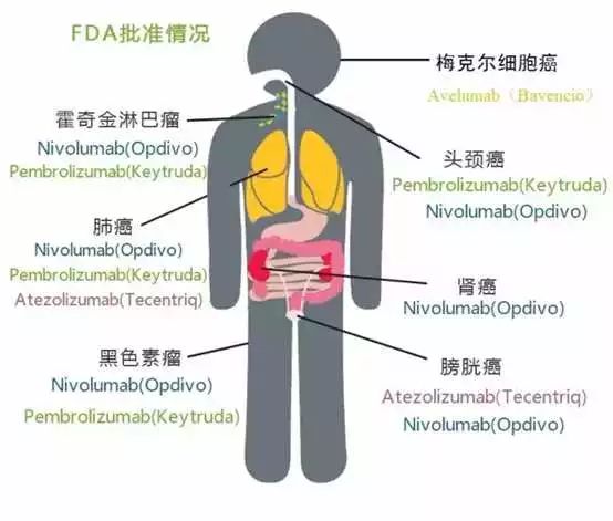 BBIN游戏(集团)有限公司官网