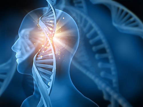 BBIN游戏助力新药研发又一阶：海和生物与思绪迪医药开启抗肿瘤新药相助