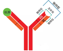BBIN游戏(集团)有限公司官网