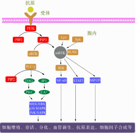 BBIN游戏(集团)有限公司官网