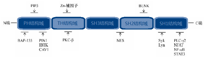BBIN游戏(集团)有限公司官网