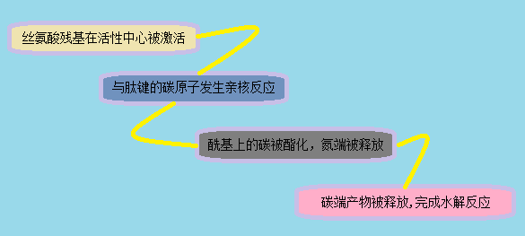 BBIN游戏(集团)有限公司官网
