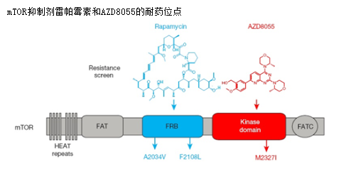BBIN游戏(集团)有限公司官网