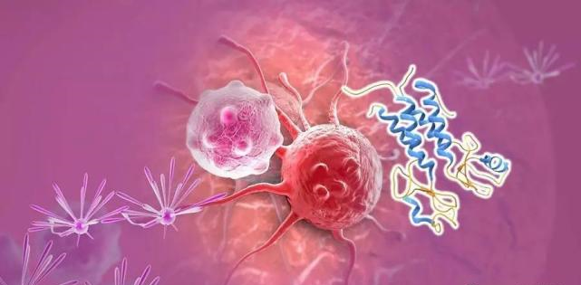 【盘货】高选择性mTOR抑制剂的研究历程_BBIN游戏生物医药