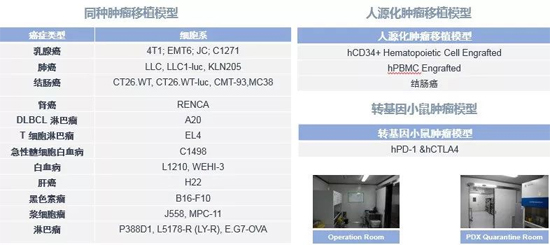 BBIN游戏药效学动物模子