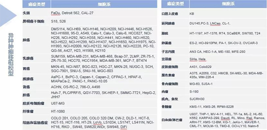 BBIN游戏药效学动物模子