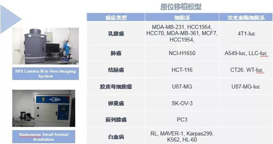 BBIN游戏药效学动物模子