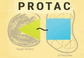 热门前沿:PROTAC初露矛头，，SD-36对抗肿瘤效果卓越
