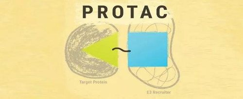 PROTAC药物组成的简朴示意图