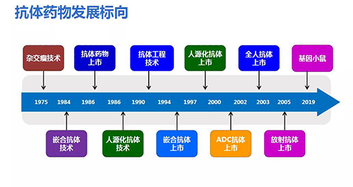 抗体药物生长标向