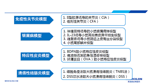 自身免疫性疾病动物模子