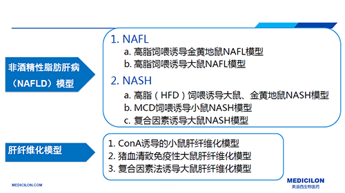 代谢性疾病模子